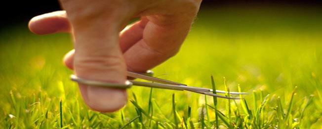 1 SO_k1dj3xgvwbA5sIySLew@2x - Copy